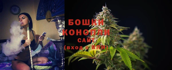 шишки Кулебаки