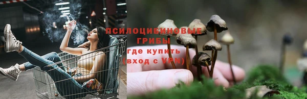 гидропоника Ладушкин